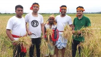 দেশজুড়ে ধান কেটে কৃষকের মন জয় করে নিয়েছিল ছাত্রলীগ